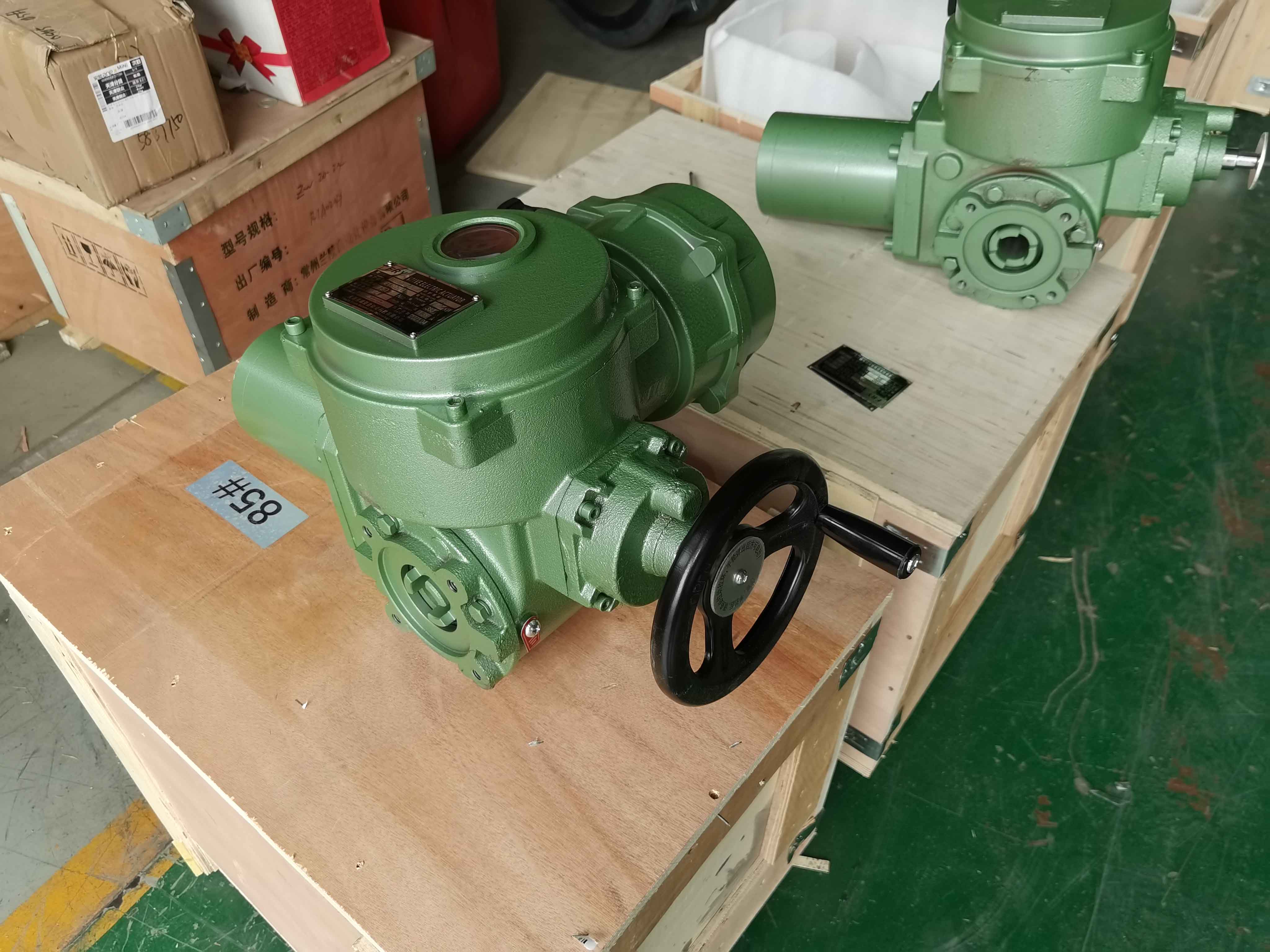 MOTOR ACTUATOR, MODEL DZW30
